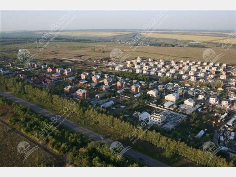 Фото Дубрава 4