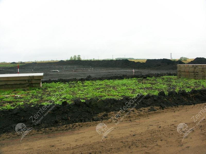 Фото Дубрава 5
