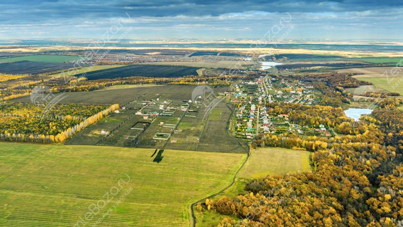 Фото Калинка 4