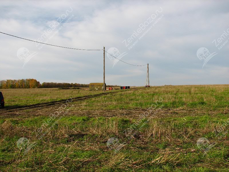 Фото Калинка 5
