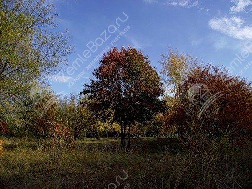 Фото Моя отрада 2