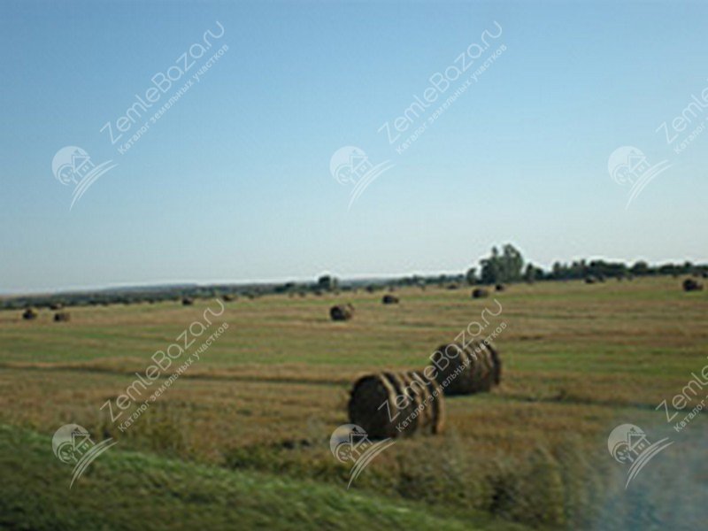 Фото Новый городок 2