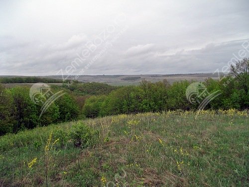 Рядом с гольфом