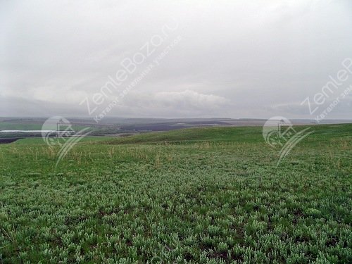 Фото Рядом с гольфом 2