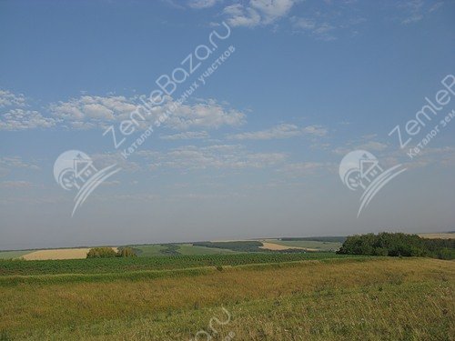 Фото Рядом с гольфом 3
