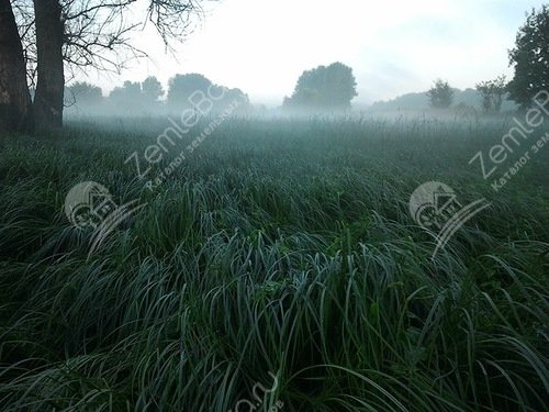 Фото Сады Гранного 2