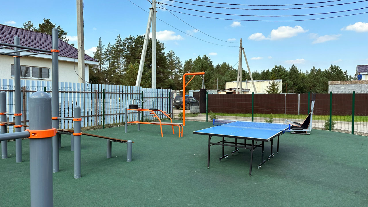 Фото Шишки 3