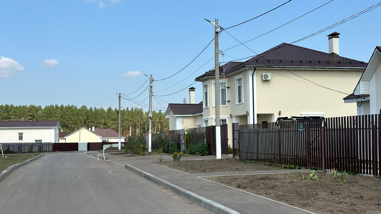 Фото Шишки 6