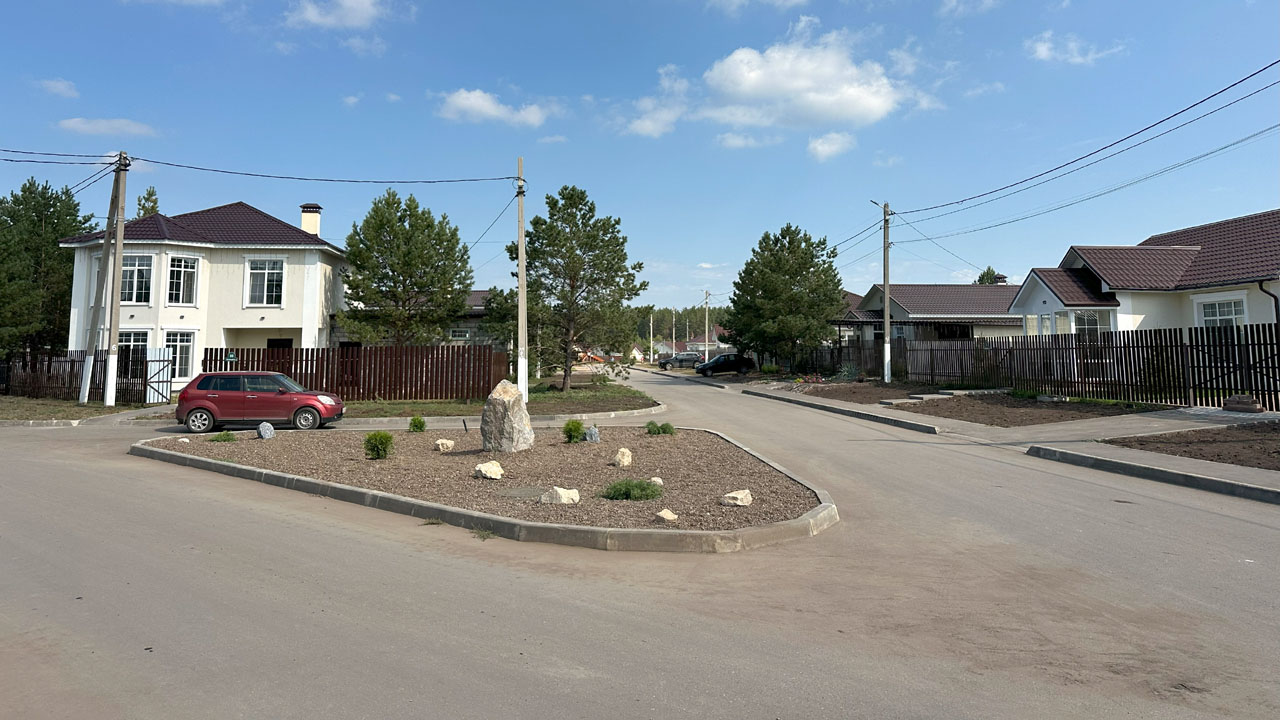 Фото Шишки 7
