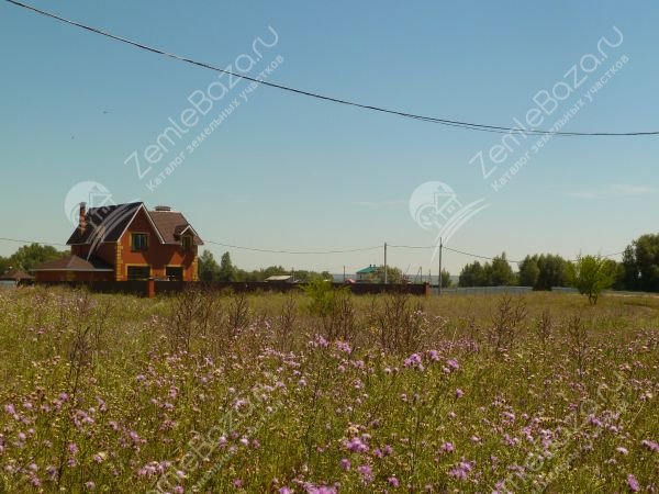 Фото Сосновый 3