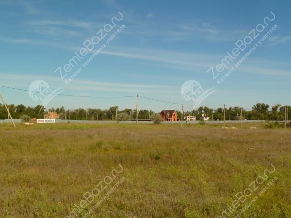 Фото Сосновый 4