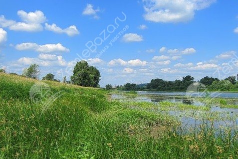 Фото Старосемейкино 6