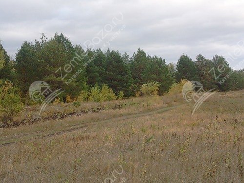 Фото Студенцы 2