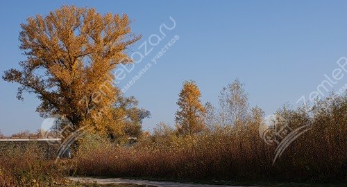 Фото Уютный 4