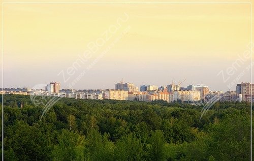 Фото В Дубках 4