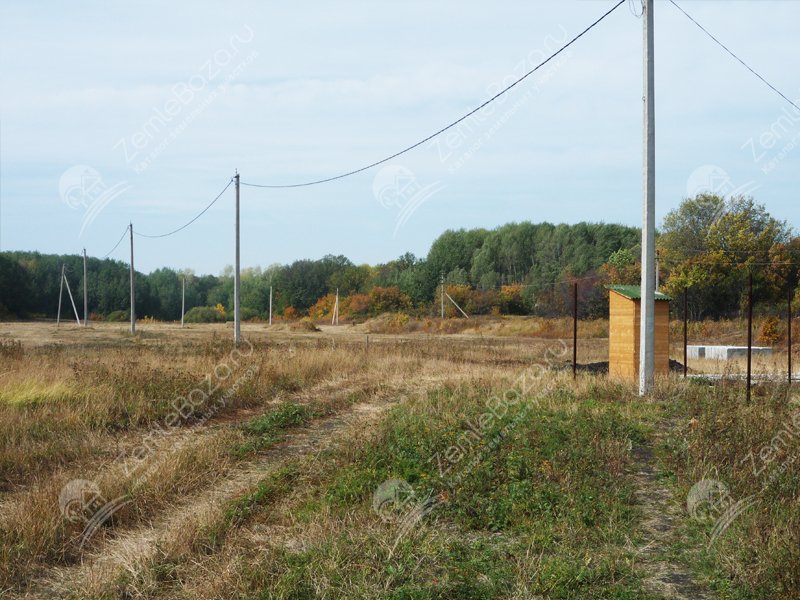 Васильевский
