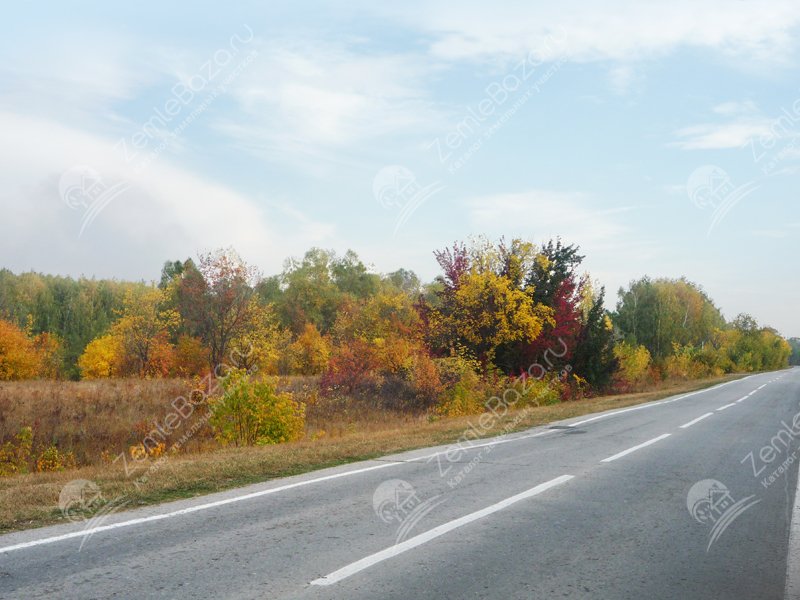 Фото Васильевский 3