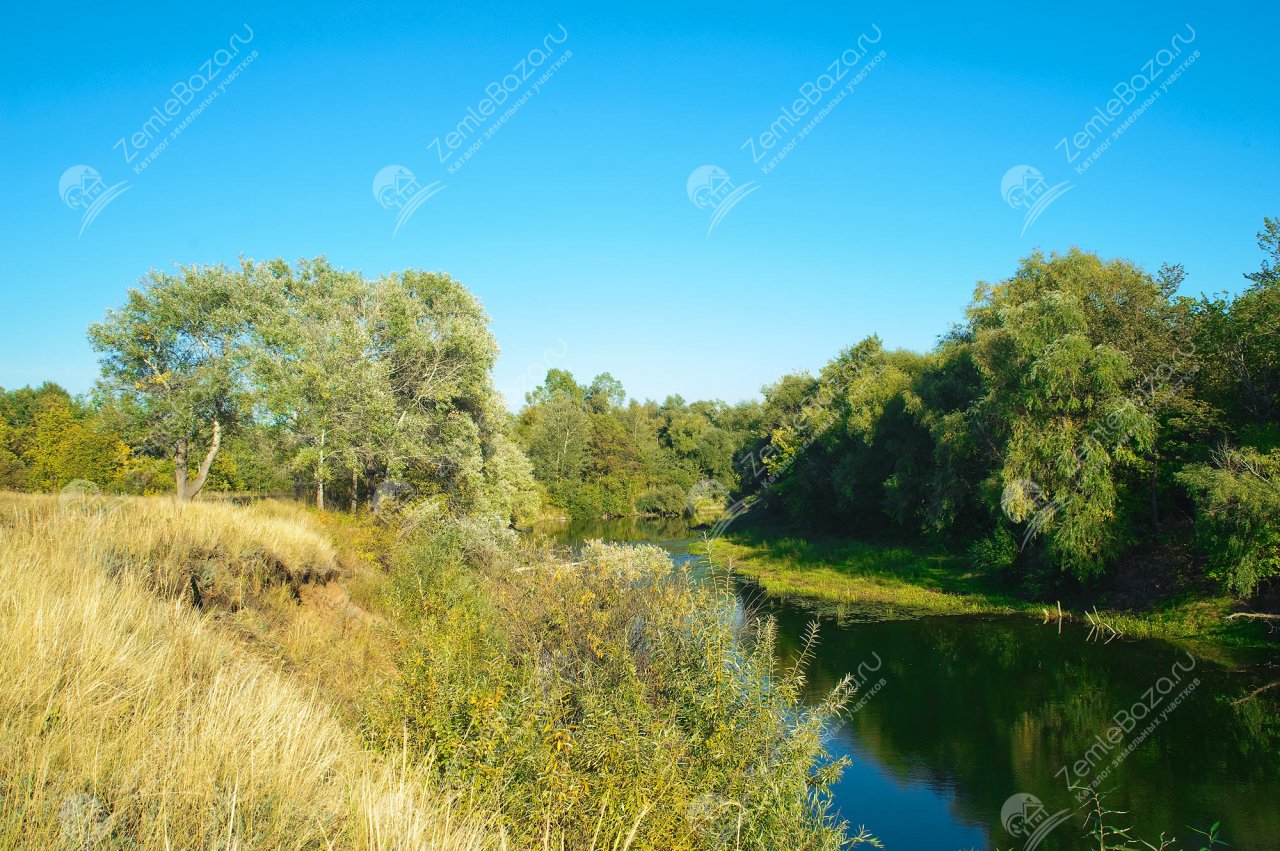 Фото Ясный Сокол 5